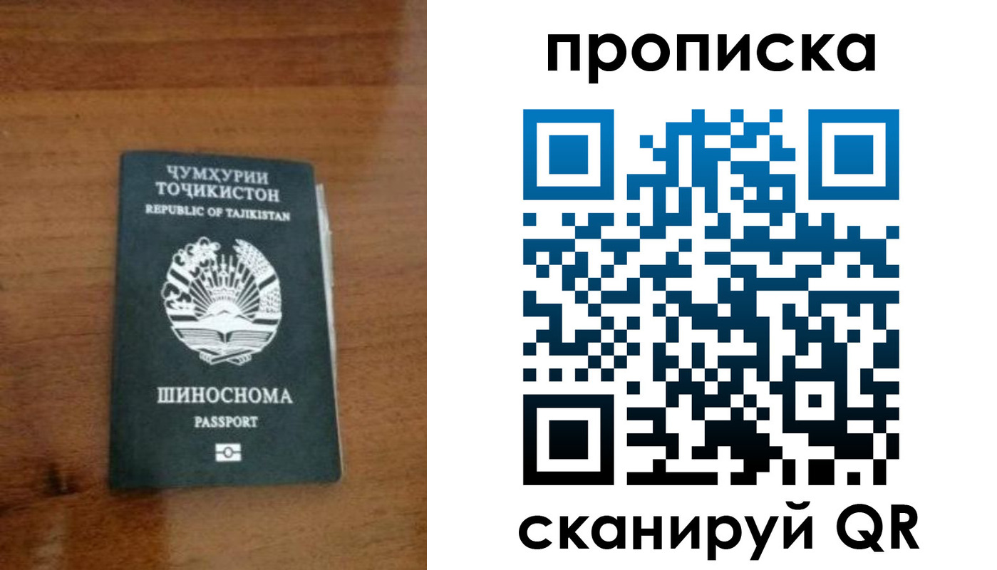 прописка законно в Светлогорске