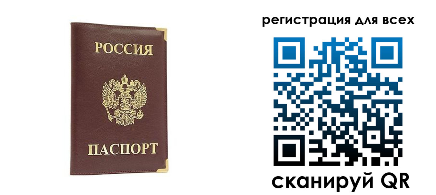 временная регистрация 2025 в Светлогорске
